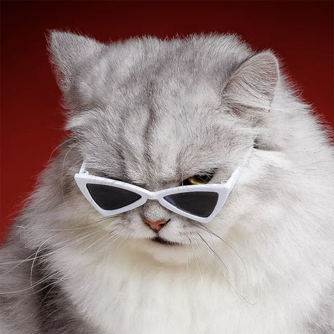 Modern Stylish Windproof Kitten Goggles dogz&cat