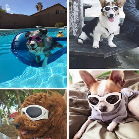 6 Colors Cute  Dog Sunglass dogz&cat