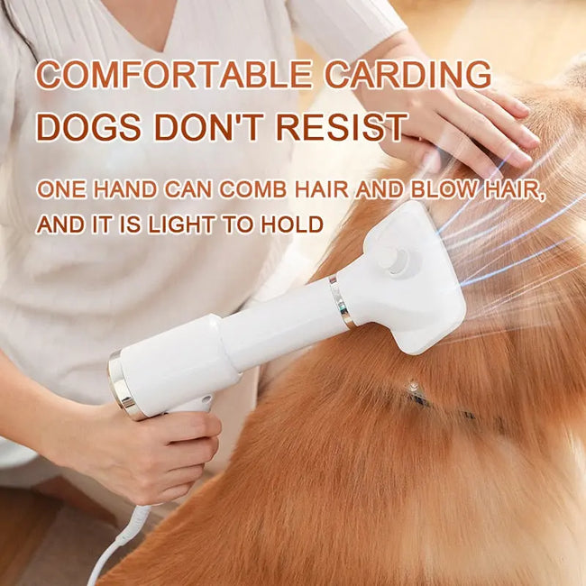Adjustable Temperature 2-in-1 Dog Hair Dryer dogz&cat