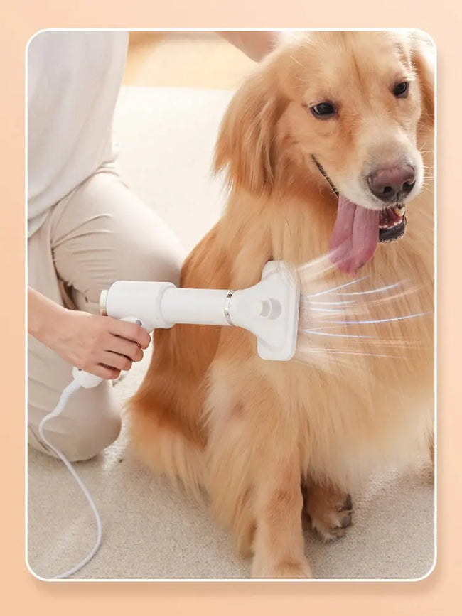 Adjustable Temperature 2-in-1 Dog Hair Dryer dogz&cat