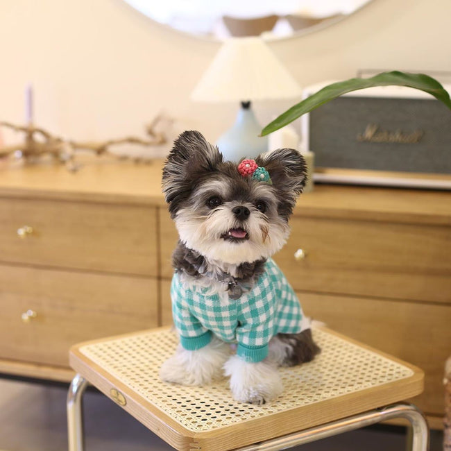 Winter Warm Grid Toast Cute Sweater for Dog dogz&cat