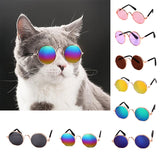 Cool Funny Photo Props kitten Colored Sunglasses dogz&cat