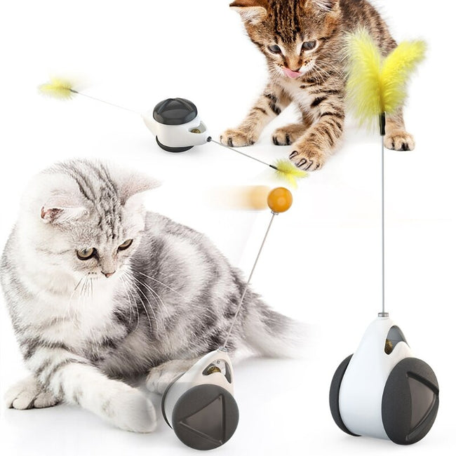 Interactive  Chaser Indoor Balance Tumbler Cat Toys dogz&cat