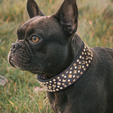 Adjustable Pitbull Bulldog Sharp Spiked Studded Leather Dog Collars dogz&cat