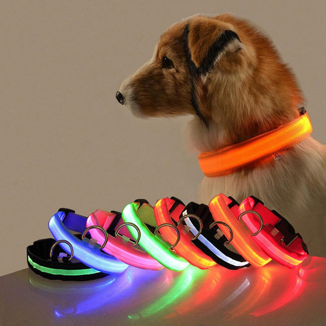 USB Charging/Battery  Night Luminous Anti-lost Collar dogz&cat