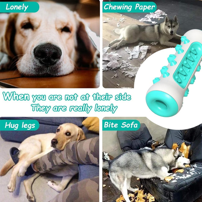 Safe Puppy Dental Care  Dog Molar Toothbrush Toys dogz&cat