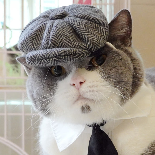 Funny Cat Hat Gentleman's Hat Beret Tie dogz&cat