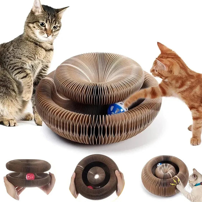 Magic Organ Cat Toy Cats Scratcher Scratch Board Round Corrugated Scratching Post Toys for Cats Grinding Claw Cat Accessories dogzncat