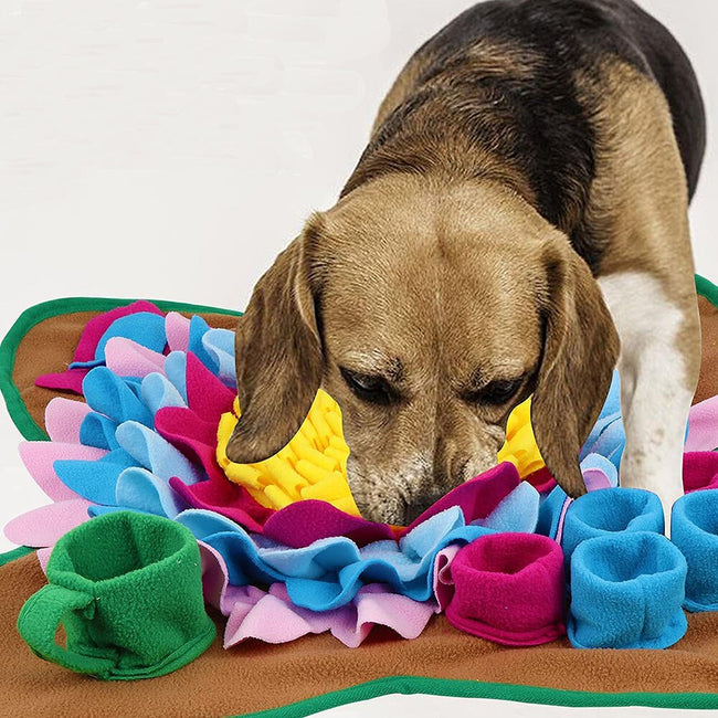 Smell Training Sniffing Pad Dog Puzzle Toy dogz&cat