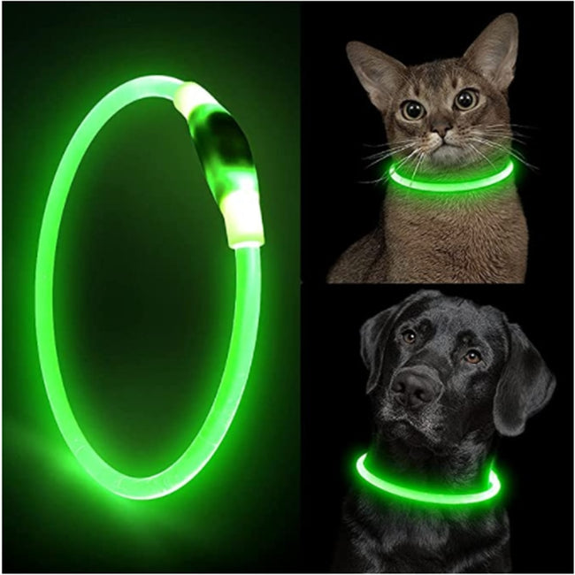 Detachable Glowing USB Charging Luminous Leash dogz&cat