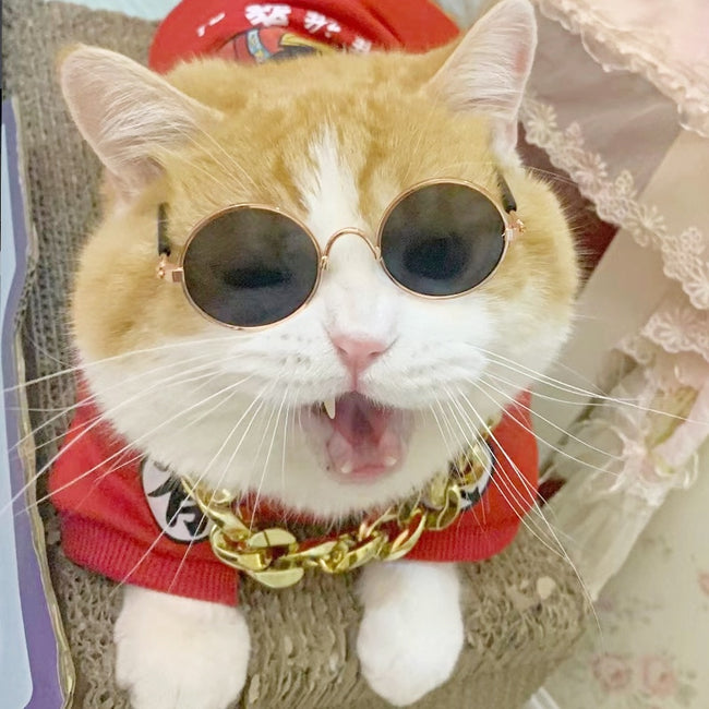 Hip-Hop Weird Glasses Trendy Round Sunglasses dogz&cat