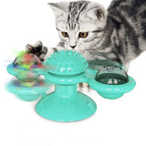 Interactive Puzzle Cat Game Toy With Whirligig Turntable for Kitten Brush Teeth dogz&cat