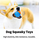 Durable Bouncy Chew Ball Bite Resistant  Training Sound Toy dogz&cat