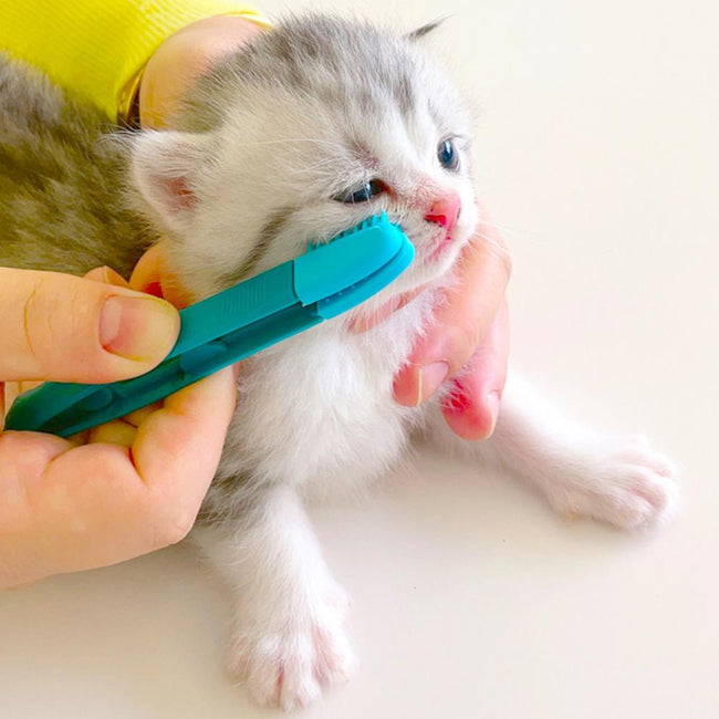 Handheld  Reusable Kitten Eye Cleaning Brush dogz&cat