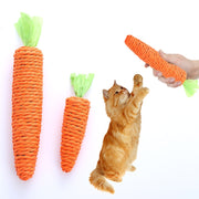 Carrot  Paper Rope Chew Toy dogz&cat