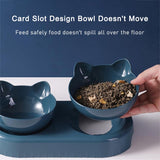 Automatic Feeder Water Dispenser Cat Food Bowl dogz&cat