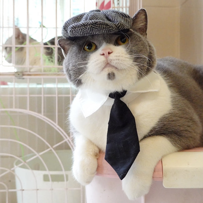 Funny Cat Hat Gentleman's Hat Beret Tie dogz&cat