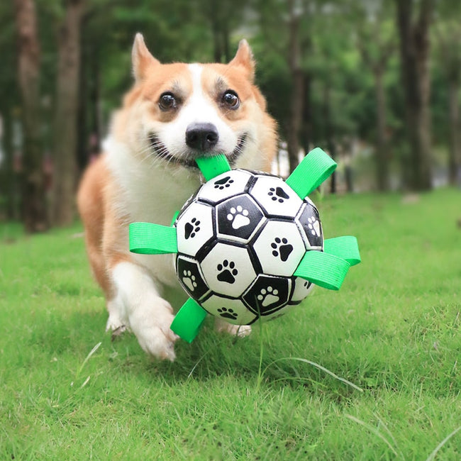 Interactive Toy Small Medium Breeds Soccer Ball Dog Football Toy dogz&cat