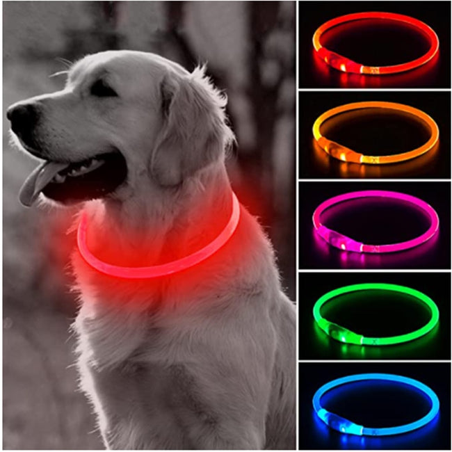 Detachable Glowing USB Charging Luminous Leash dogz&cat